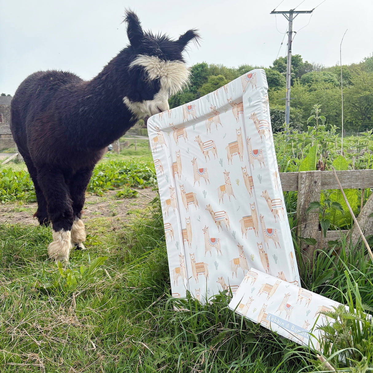 Alpaca design baby changing mats in a field with a black and white alpaca looking at them
