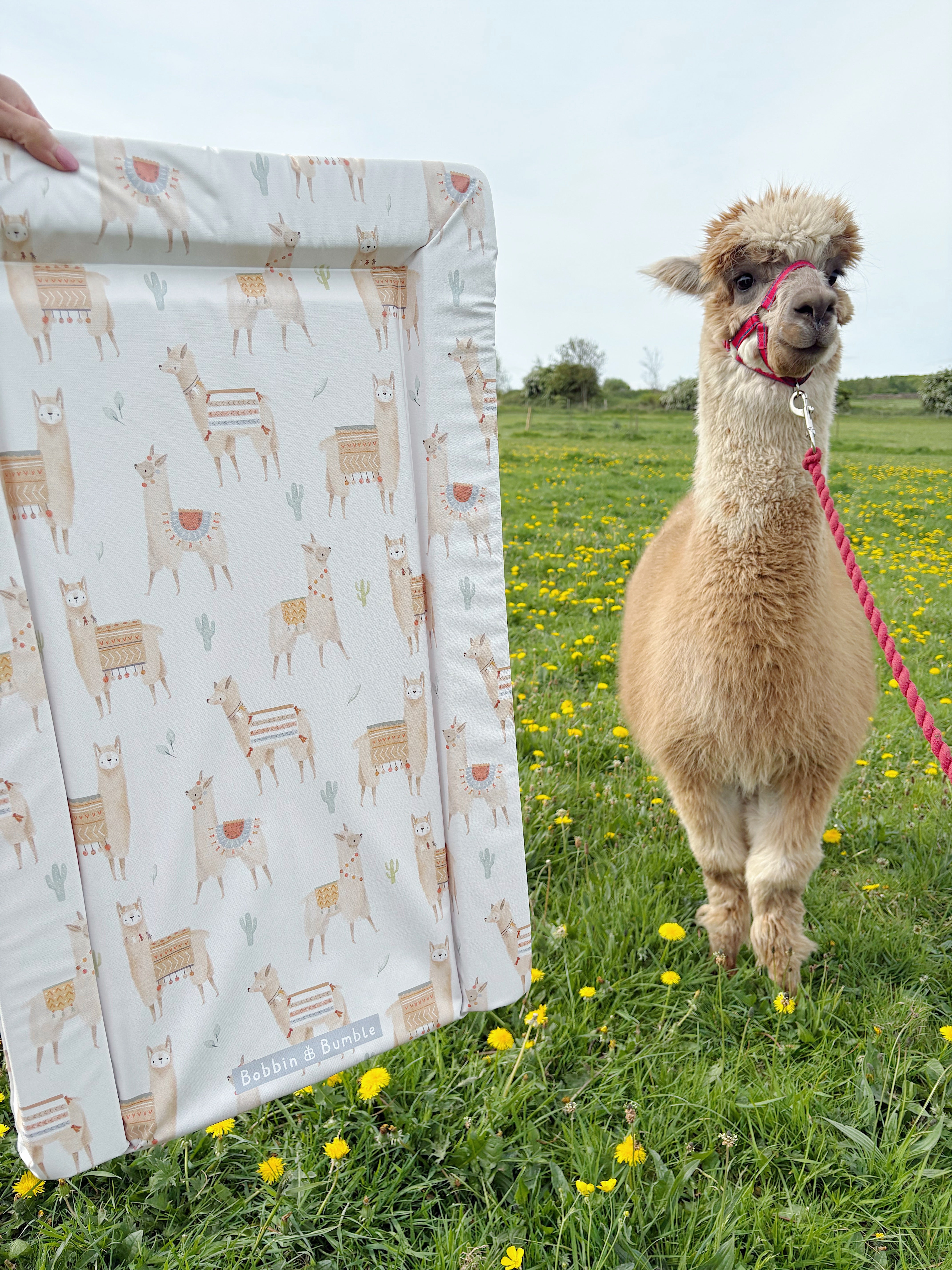 Standard Baby Changing Mat | Alpaca Print | Bobbin and Bumble UK