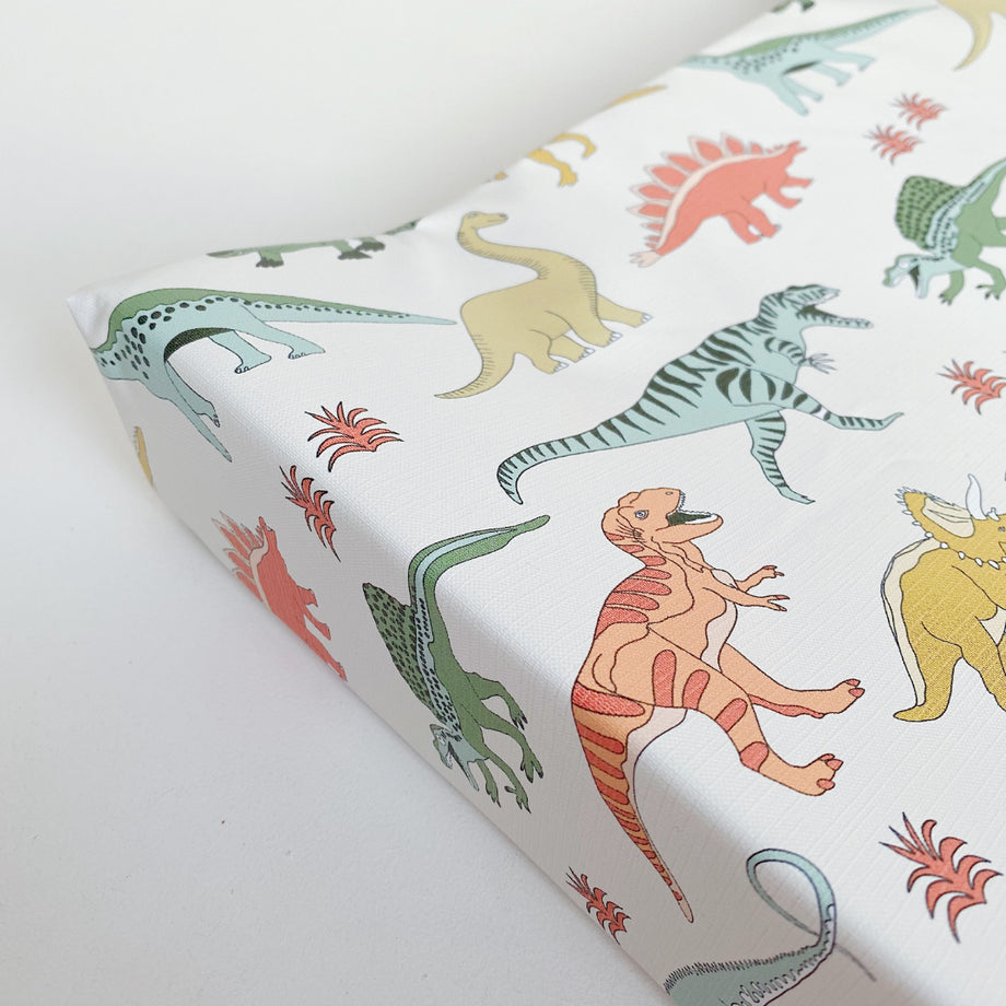 Dinosaur shop changing mat